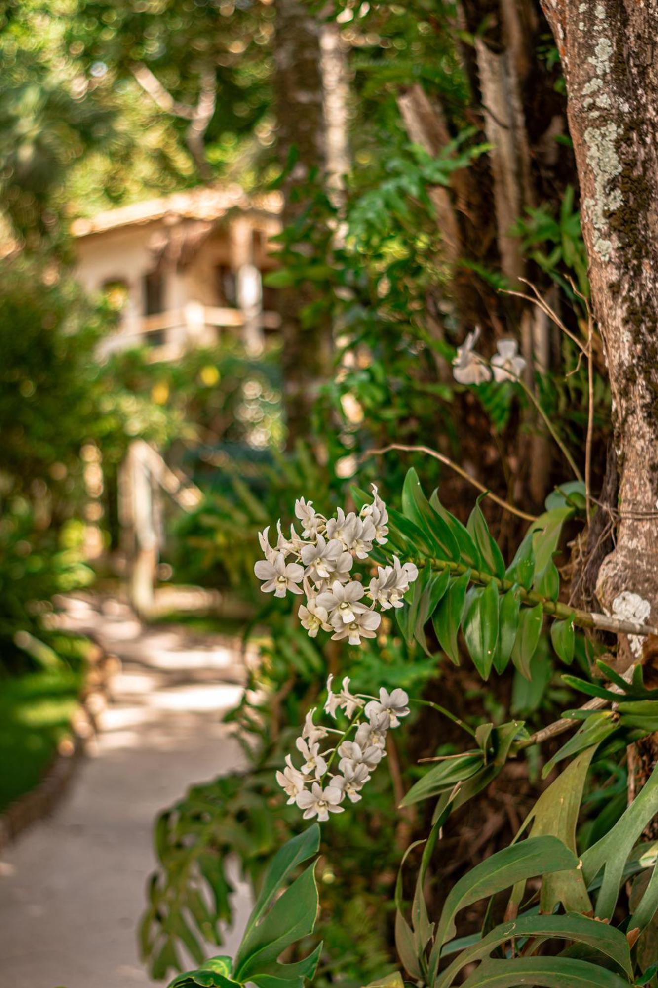 Hotel Boutique Bahia Bonita Trancoso Eksteriør bilde